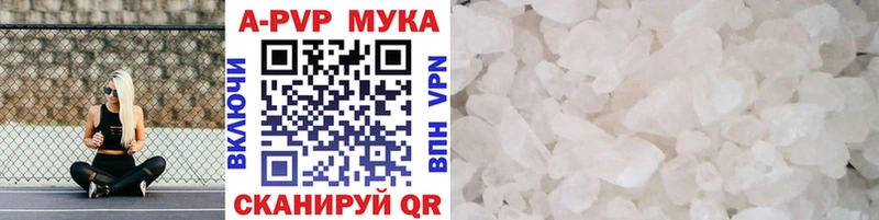 Альфа ПВП СК КРИС  Велиж 
