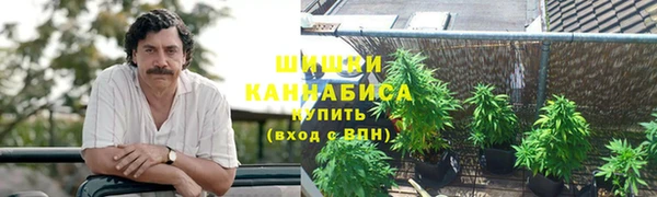 мескалин Богородицк