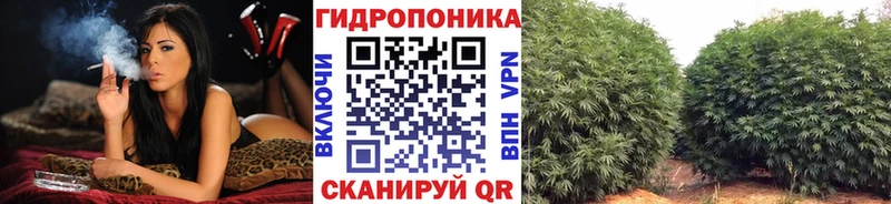 Бошки марихуана Ganja  продажа наркотиков  Велиж 